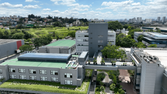 Quem Somos - timeline 1